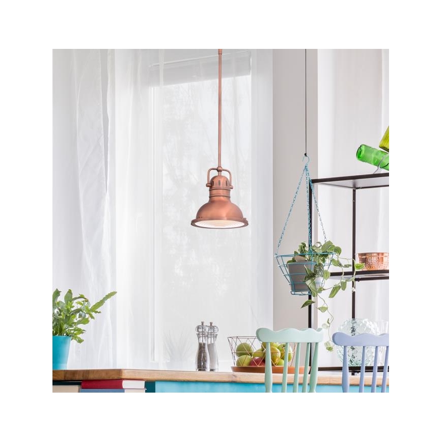 Westinghouse 6308440 - Laelühter varrega BOSWELL 1xE27/60W/230V, läbimõõt 22 cm