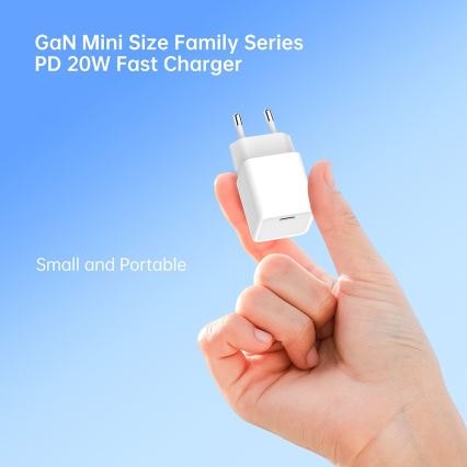 Winner Group- Kiirlaadmisadapter 1xUSB-C PD 20W + USB kaabel USB-C / USB-C 1m