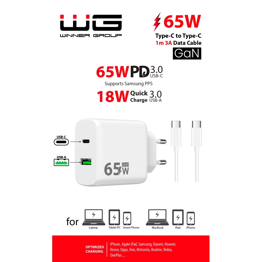 Winner Group - Kiirlaadmisadapter 2xUSB PD 65W + USB kaabel USB-C / USB-C 1m