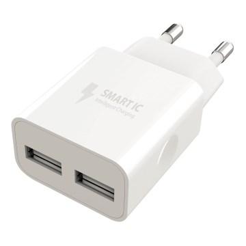 Winner Group - Laadimisadapter 2xUSB-A 12W valge