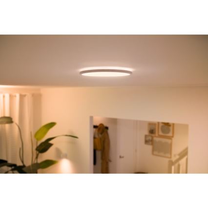 WiZ - LED Hämardatav laevalgusti SUPERSLIM LED/22W/230V 2700-6500K valge