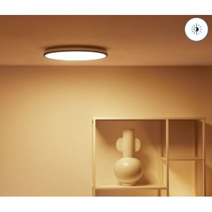 WiZ - LED RGBW Hämardatav laevalgusti RUNE LED/21W/230V 2200-6500K Wi-Fi must