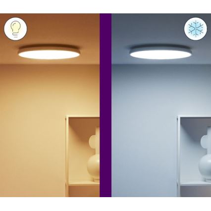 WiZ - LED RGBW Hämardatav laevalgusti RUNE LED/21W/230V 2700-6500K Wi-Fi valge