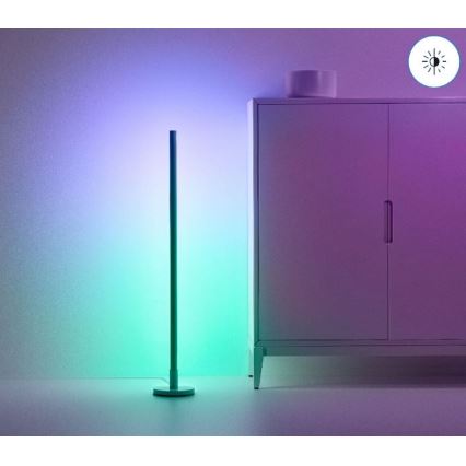 WiZ - LED RGBW Hämardatav põrandalamp POLE LED/13W/230V 2200-6500K Wi-Fi