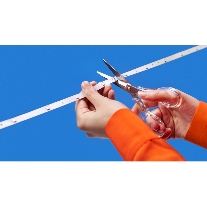 WiZ - LED RGBW Hämardatav valguslint 4m LED/6,5/230V 2700-6500K Wi-Fi