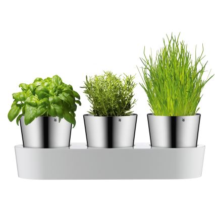 WMF - Isekastev maitseainetaimede pott 3 tk GOURMET valge/roostevaba