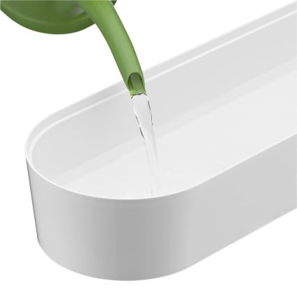 WMF - Isekastev maitseainetaimede pott 3 tk GOURMET valge/roostevaba