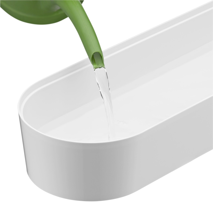WMF - Isekastev maitseainetaimede pott 3 tk GOURMET valge/roostevaba
