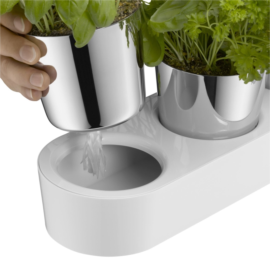 WMF - Isekastev maitseainetaimede pott 3 tk GOURMET valge/roostevaba
