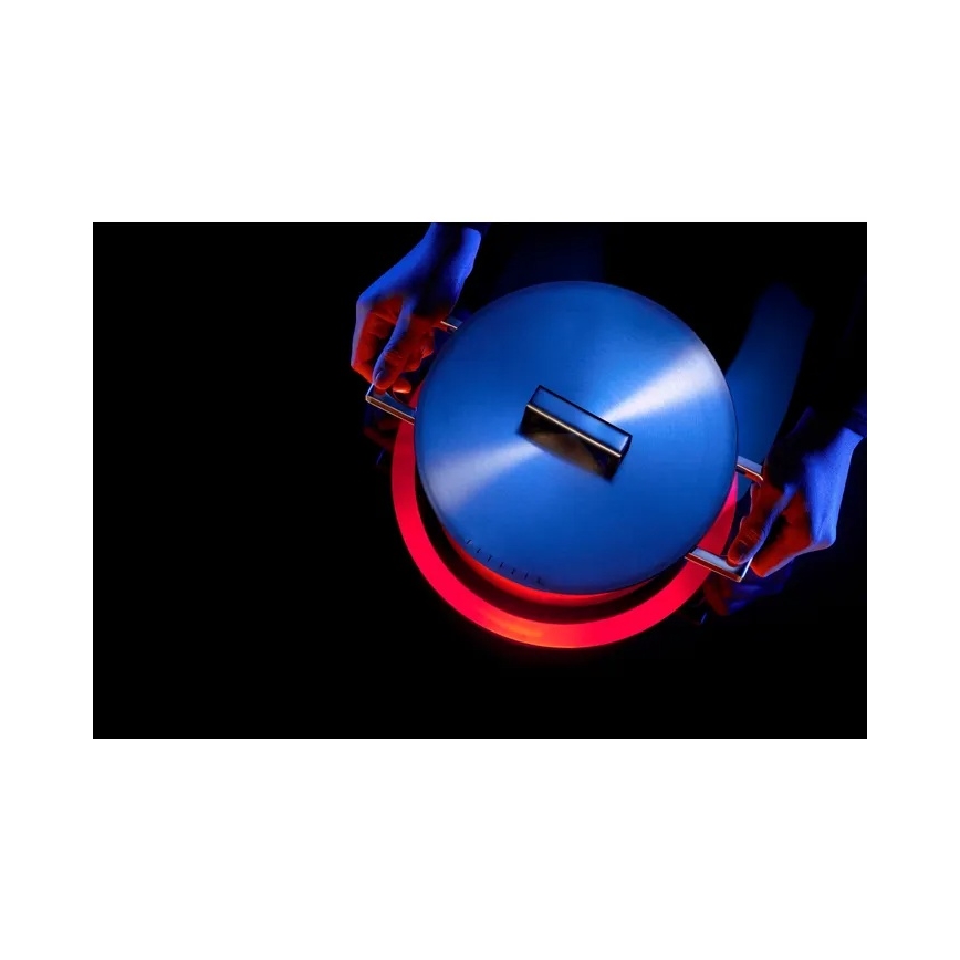 WMF - pott ULTIMATE COOL, läbimõõt 24 cm