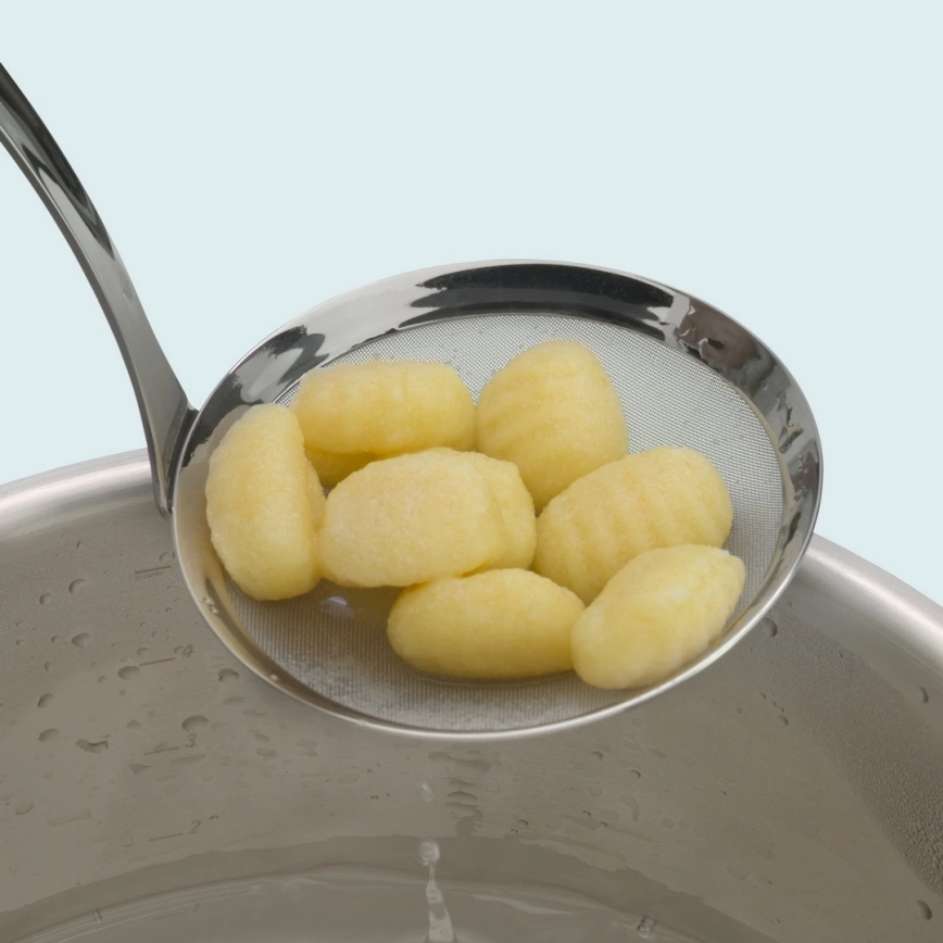 WMF - PROFI PLUS roostevabast terasest piimavahustaja