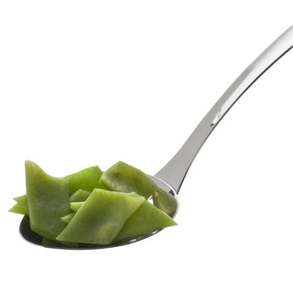 WMF - Serveerimislusikas PROFI PLUS, roostevabast terasest