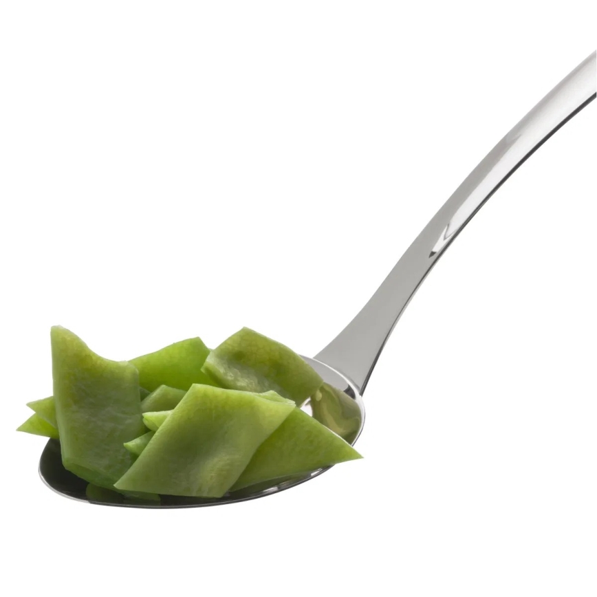 WMF - Serveerimislusikas PROFI PLUS, roostevabast terasest