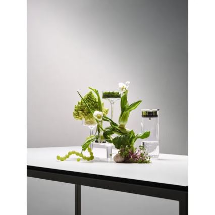 WMF - Veekarahvin MOTION 800 ml