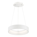 Wofi 11489FW - LED Hämardatav lühter SHAY LED/31,5W/230V 3000K valge