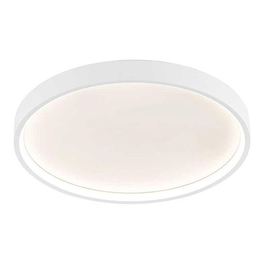 Wofi 12055 - LED Hämardatav laevalgusti DUBAI LED/27,5W/230V valge