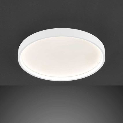 Wofi 12055 - LED Hämardatav laevalgusti DUBAI LED/27,5W/230V valge