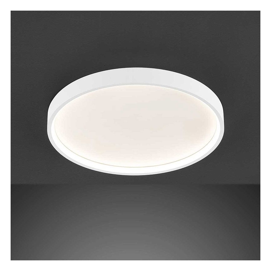 Wofi 12055 - LED Hämardatav laevalgusti DUBAI LED/27,5W/230V valge