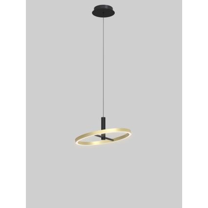 Wofi 6016-104L - hämardatav LED-rippvalgusti trossil BREST LED/19W/230V läbimõõt 42 cm must/kuldne