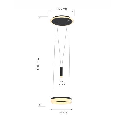 Wofi 6054-302 - LED Hämardatav lühter JESSE LED/15,5W/230V must