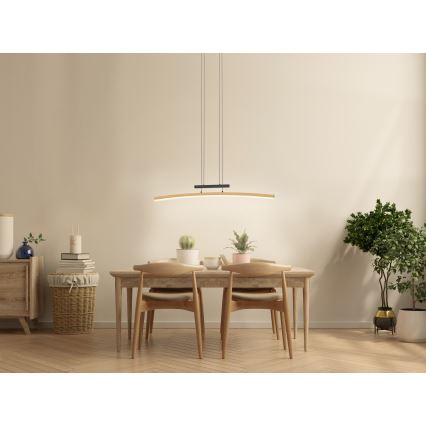 Wofi 7020-106 - LED Hämardatav lühter BOLOGNA LED/27W/230V