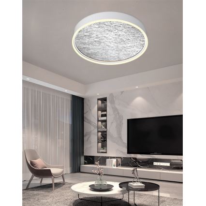 Wofi 9002-103L - LED Hämardatav laevalgusti BORDEAUX LED/60W/230V hõbedane