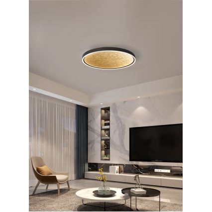 Wofi 9002-104L - LED Hämardatav laevalgusti BORDEAUX LED/60W/230V must/kuldne