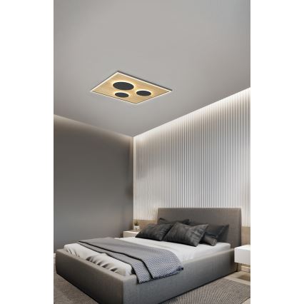 Wofi 9012-306L - LED Hämardatav laevalgusti DIJON LED/40W/230V