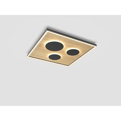 Wofi 9012-306L - LED Hämardatav laevalgusti DIJON LED/40W/230V