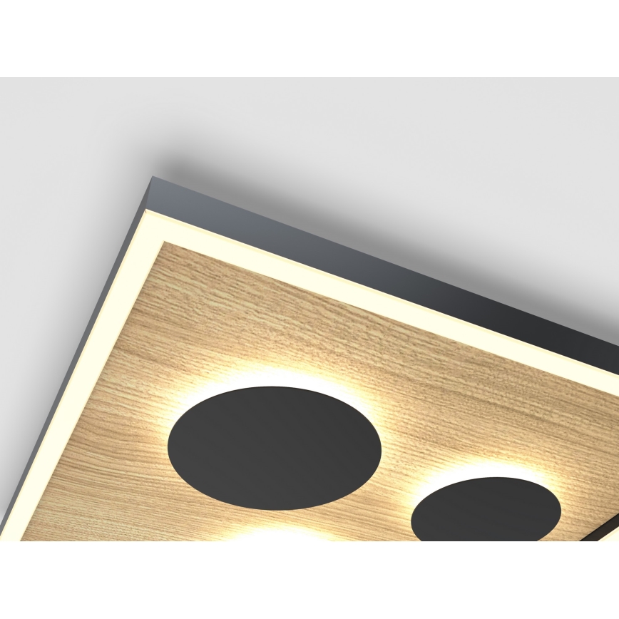 Wofi 9012-306L - LED Hämardatav laevalgusti DIJON LED/40W/230V