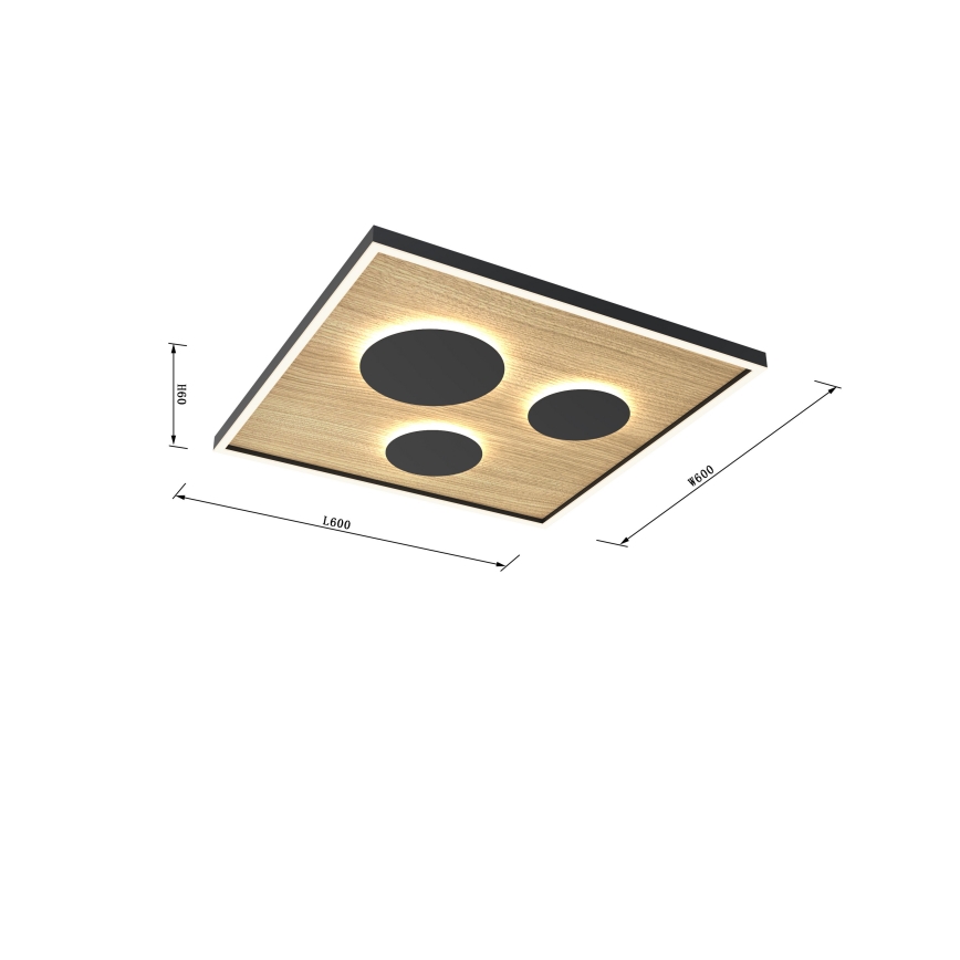 Wofi 9012-306L - LED Hämardatav laevalgusti DIJON LED/40W/230V