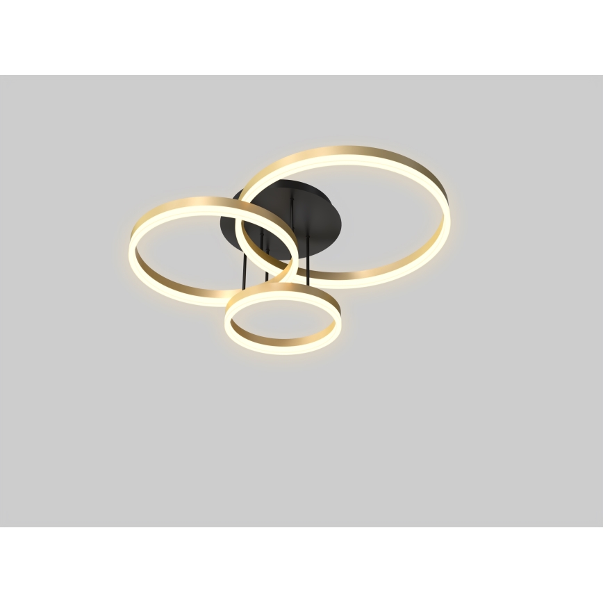 Wofi 9049-401 - LED Hämardatav pinnale kinnitatav lühter PERPIGNAN LED/51W/230V kuldne