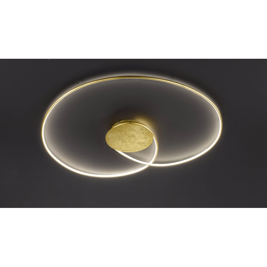 Wofi - LED Laevalgusti OPUS LED/32W/230V