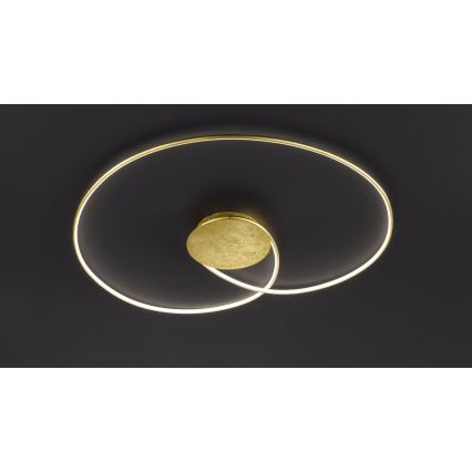 Wofi - LED Laevalgusti OPUS LED/32W/230V