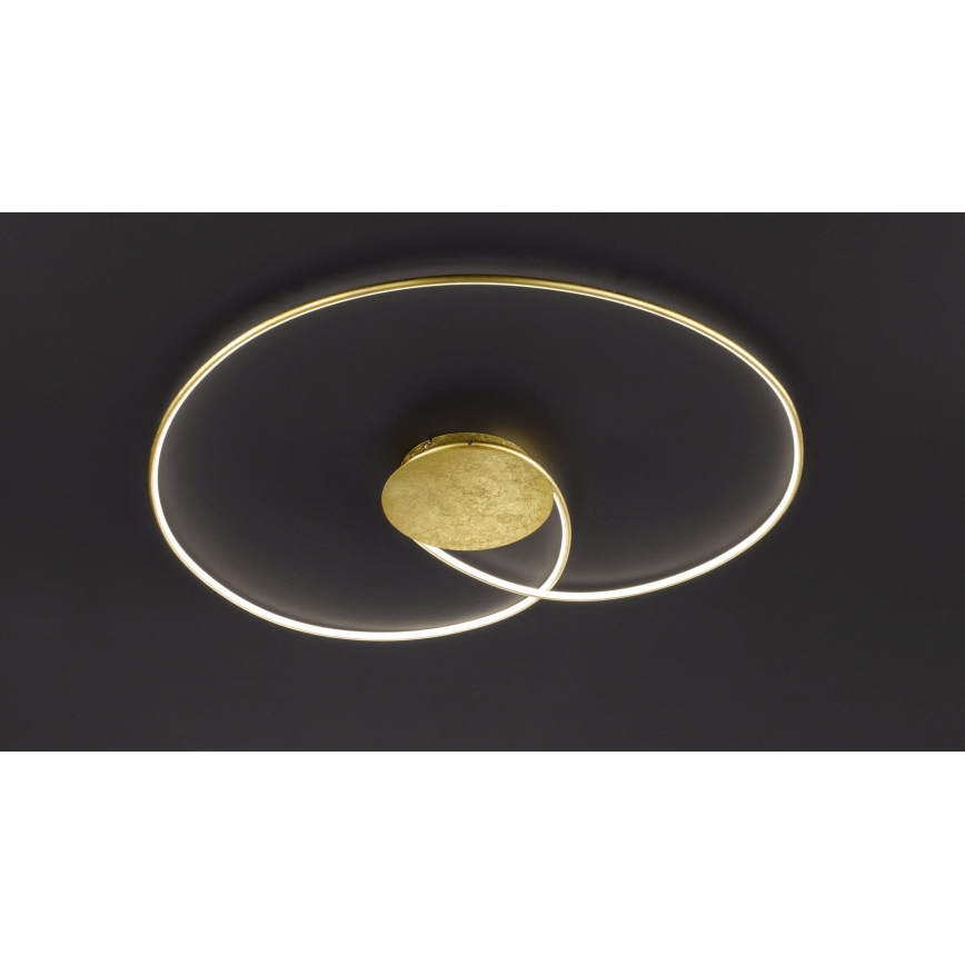 Wofi - LED Laevalgusti OPUS LED/32W/230V
