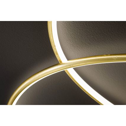 Wofi - LED Laevalgusti OPUS LED/32W/230V