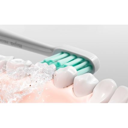 Xiaomi - Nutikas elektriline hambahariT500 Bluetooth IPX7 valge
