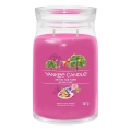 Yankee Candle - Lõhnaküünal ART IN THE PARK suur 567g 60-90 tundi.