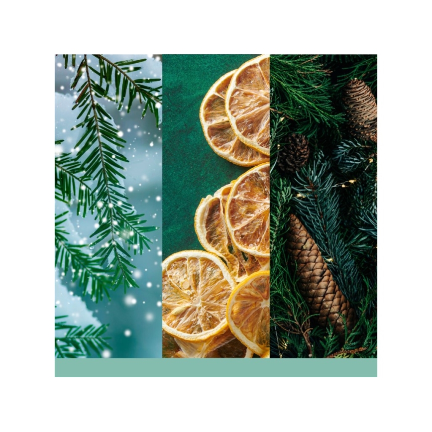 Yankee Candle - Lõhnaküünal HOLIDAY WINTERFEST suur 567g 60-90 h.