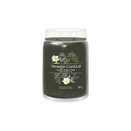 Yankee Candle - Lõhnaküünal SILVER SAGE & PINE suur 567g 60-90 tundi.