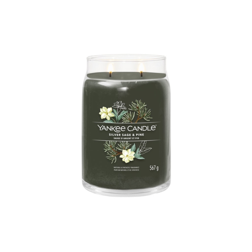 Yankee Candle - Lõhnaküünal SILVER SAGE & PINE suur 567g 60-90 tundi.