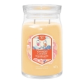 Yankee Candle - Lõhnaküünal SLOPESIDE SPRITZ suur 567 g 60-90 tundi