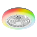 ZAMBIA LED RGBW hämardatav laelamp ventilaatoriga, 24W/230V, 3000-6500K, valge + kaugjuhtimispult