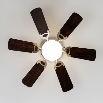 ZEVENTI - Laeventilaator GALDANA 1xE27/60W/230V pruun/beež