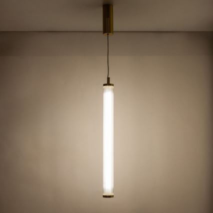 Zuma Line - LED hämardatav lühter kaablil LED/26W/230V 2700-6500K kuldne + kaugjuhtimispult