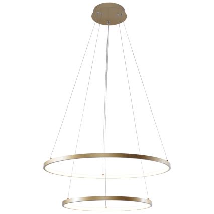 Zuma Line - LED Lühter LED/50W/230V 3000/4000/6000K d. 60 cm kuldne