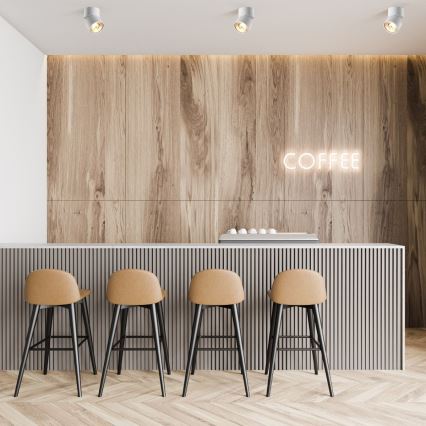 Zuma Line - suunavalgusti 1xGU10-ES111/15W/230V valge