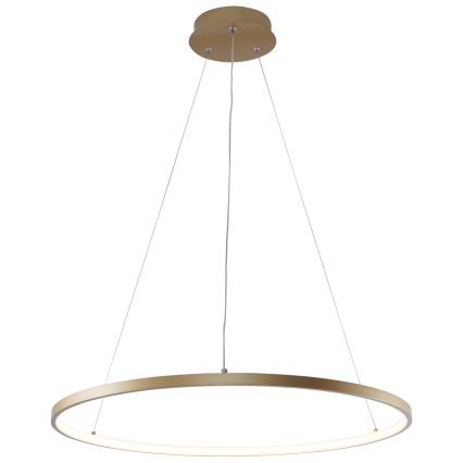 Zuma Line - LED Lühter LED/28W/230V 3000/4000/6000K d. 60 cm kuldne