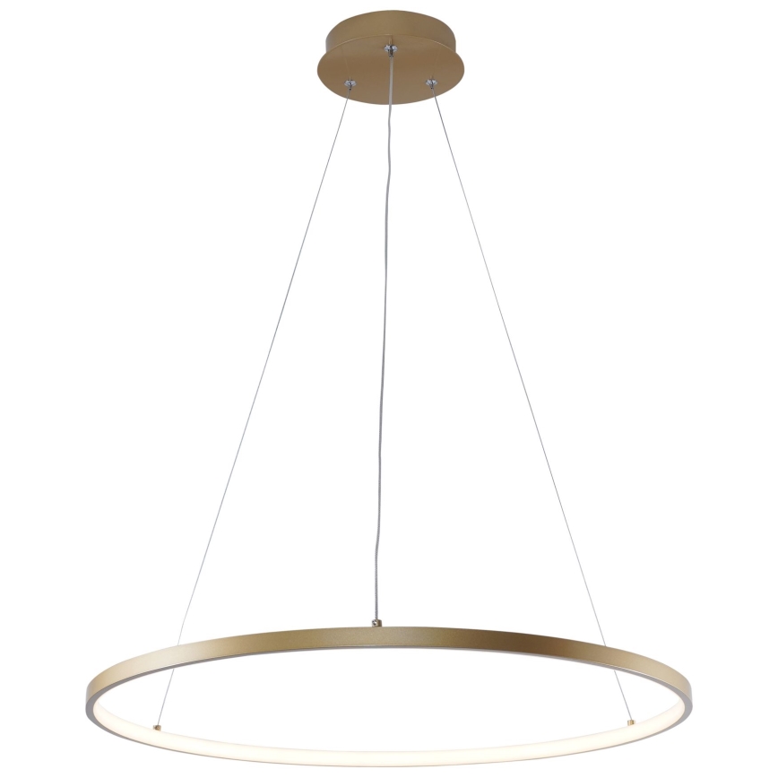 Zuma Line - LED Lühter LED/28W/230V 3000/4000/6000K d. 60 cm kuldne