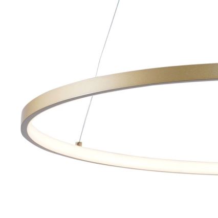 Zuma Line - LED Lühter LED/28W/230V 3000/4000/6000K d. 60 cm kuldne
